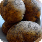 Gemüsepuffer mit Kräuterquark - Kartoffeln